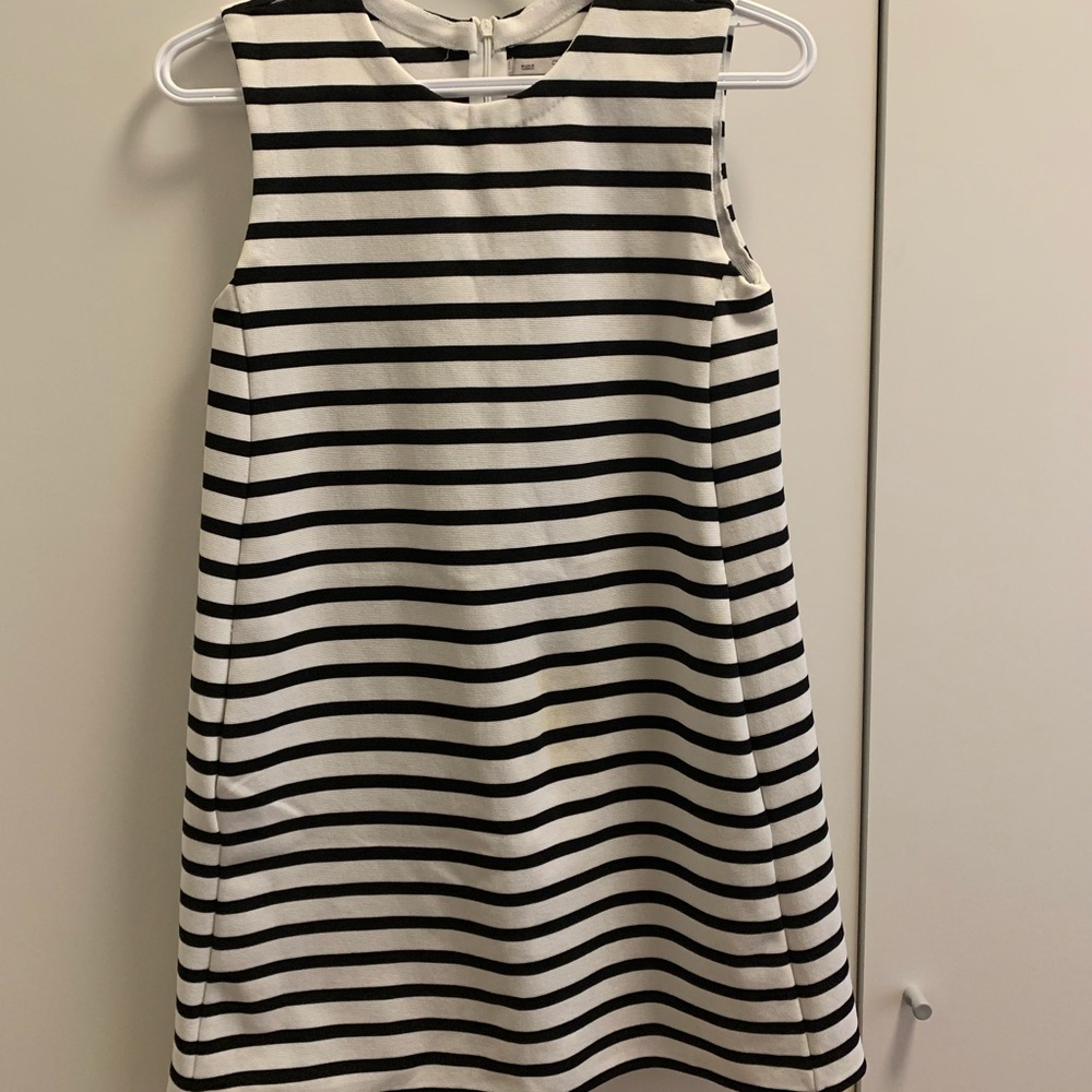 Zara Striped Dress